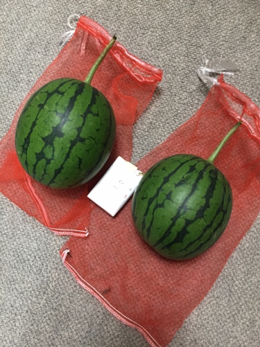 201507051938_4873_iphone.jpg