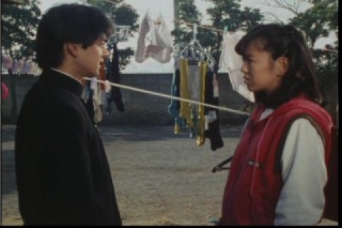 PDVD_015.jpg