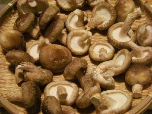 DSCN6412 (300x225).jpg