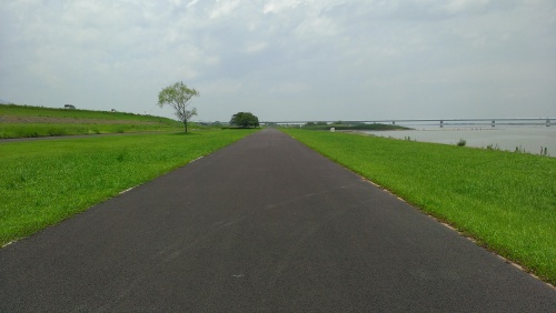 河川敷２.jpg
