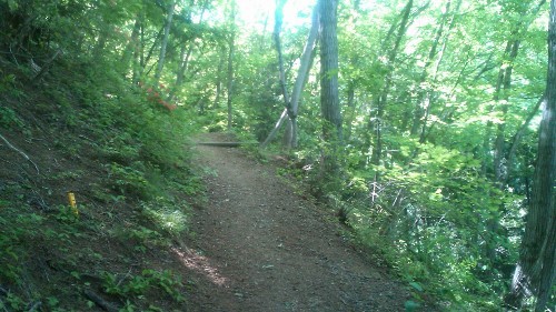 陣馬山登山道 (500x281).jpg