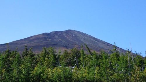 16452683_1993344257_19large.jpg
