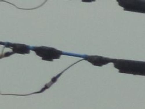 R0010015c.jpg