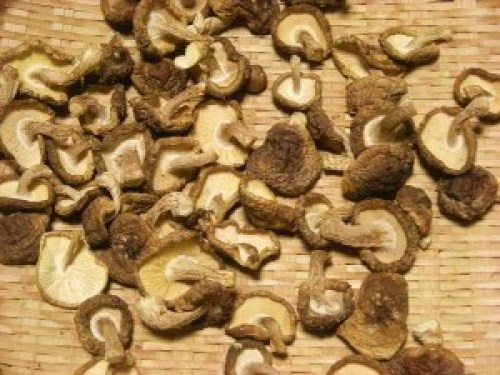 DSCN6551 (300x225).jpg