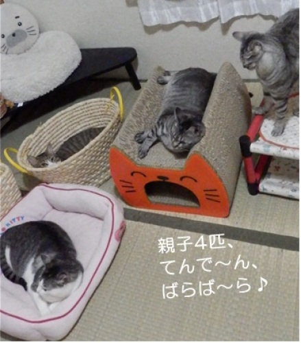 20140916_4.jpg