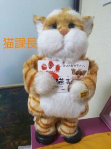 20151013_233923.jpg