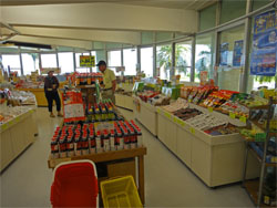 宮崎9.jpg