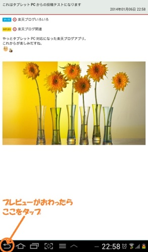 楽天ブログ_プレビュー