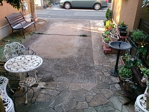 DSC_0315.jpg