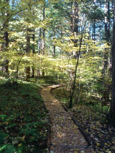 C:\fakepath\DSC_1174.JPG