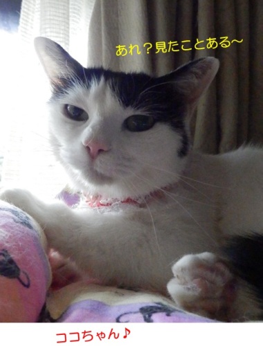 20150520_4.jpg