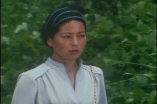 PDVD_010.jpg