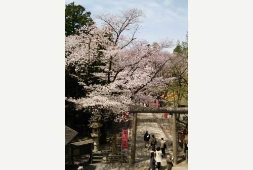 20150418上田11　城門から真田神社.jpg