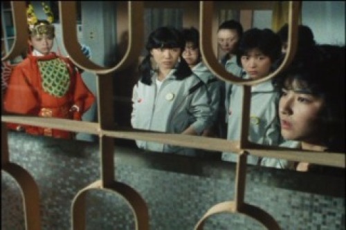 PDVD_033.jpg
