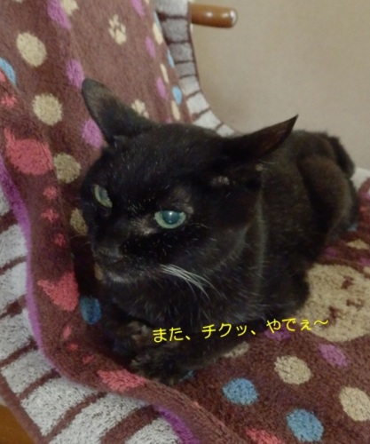 20150803_3.jpg