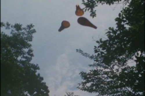 PDVD_009.jpg