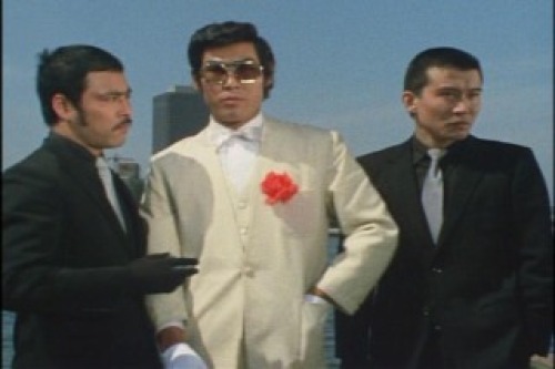 PDVD_012.jpg