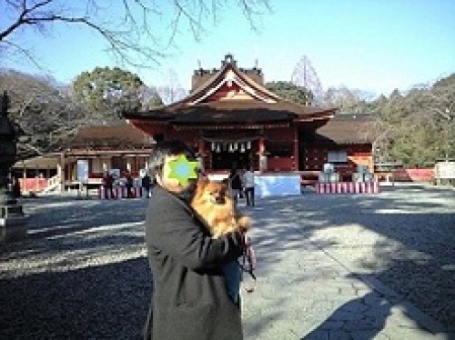 富士宮神社.jpg