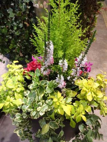 20140129-1.JPG