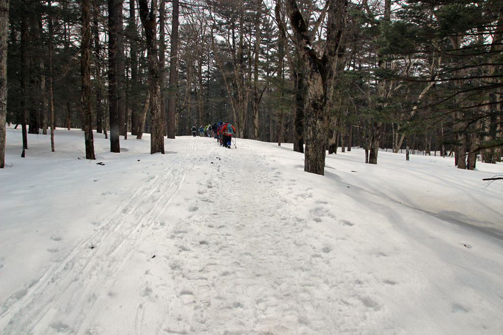 県道上高地線・帝国ホテル付近