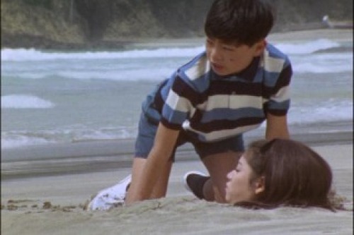 PDVD_004.jpg
