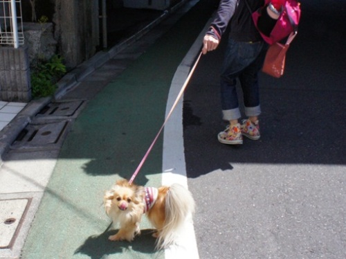 yomotsuku20120505-3.JPG