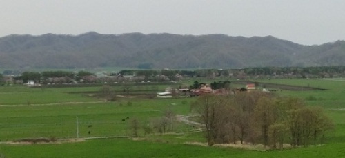 CIMG1232.JPG