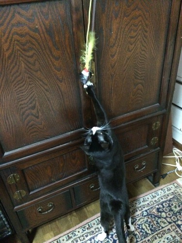 IMG_0656 - コピー.JPG