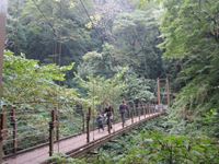 IMG_0116_R.JPG