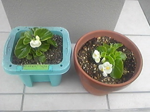121105_143043.jpg