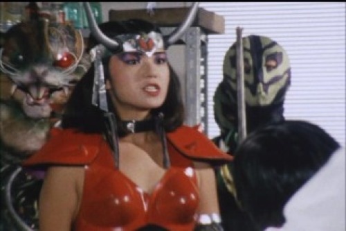 PDVD_011.jpg