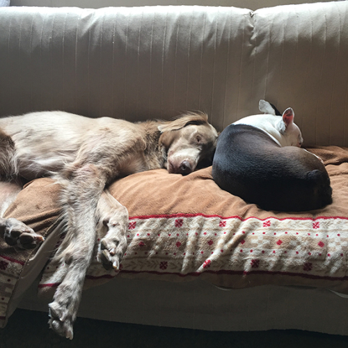 ファイル 2017-04-28 13 37 38.jpeg