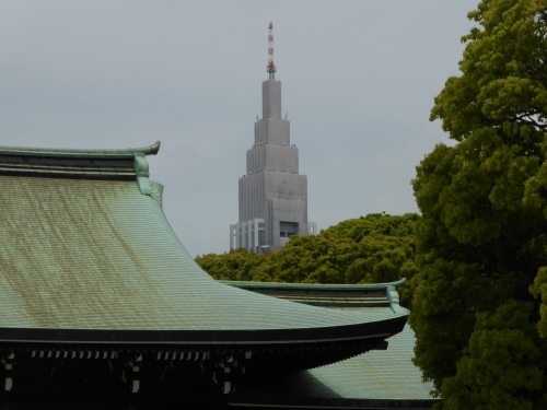 P1000296.jpg