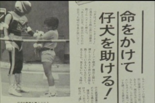 PDVD_006.jpg