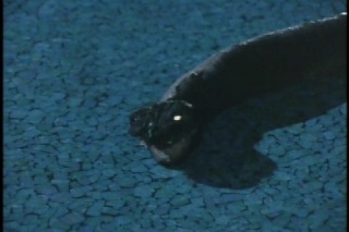 PDVD_023.jpg