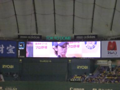 20140105のどごし夢のドリームプロ野球05.jpg