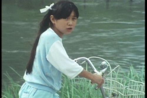 PDVD_005.jpg