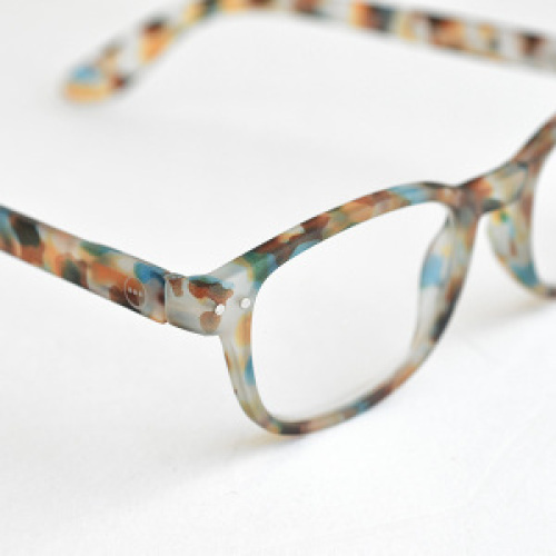 b-blue-tortoise-3.jpg
