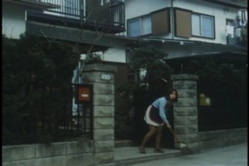 PDVD_008.jpg
