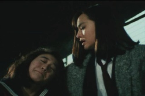 PDVD_008.jpg