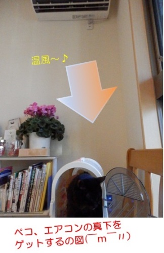 20151205_2.jpg