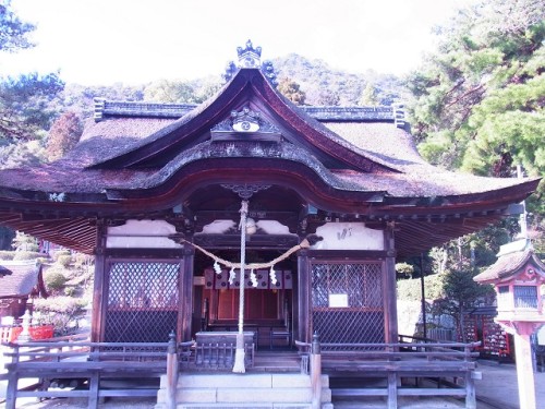 鵜川E白鬚神社 (81)0215.jpg