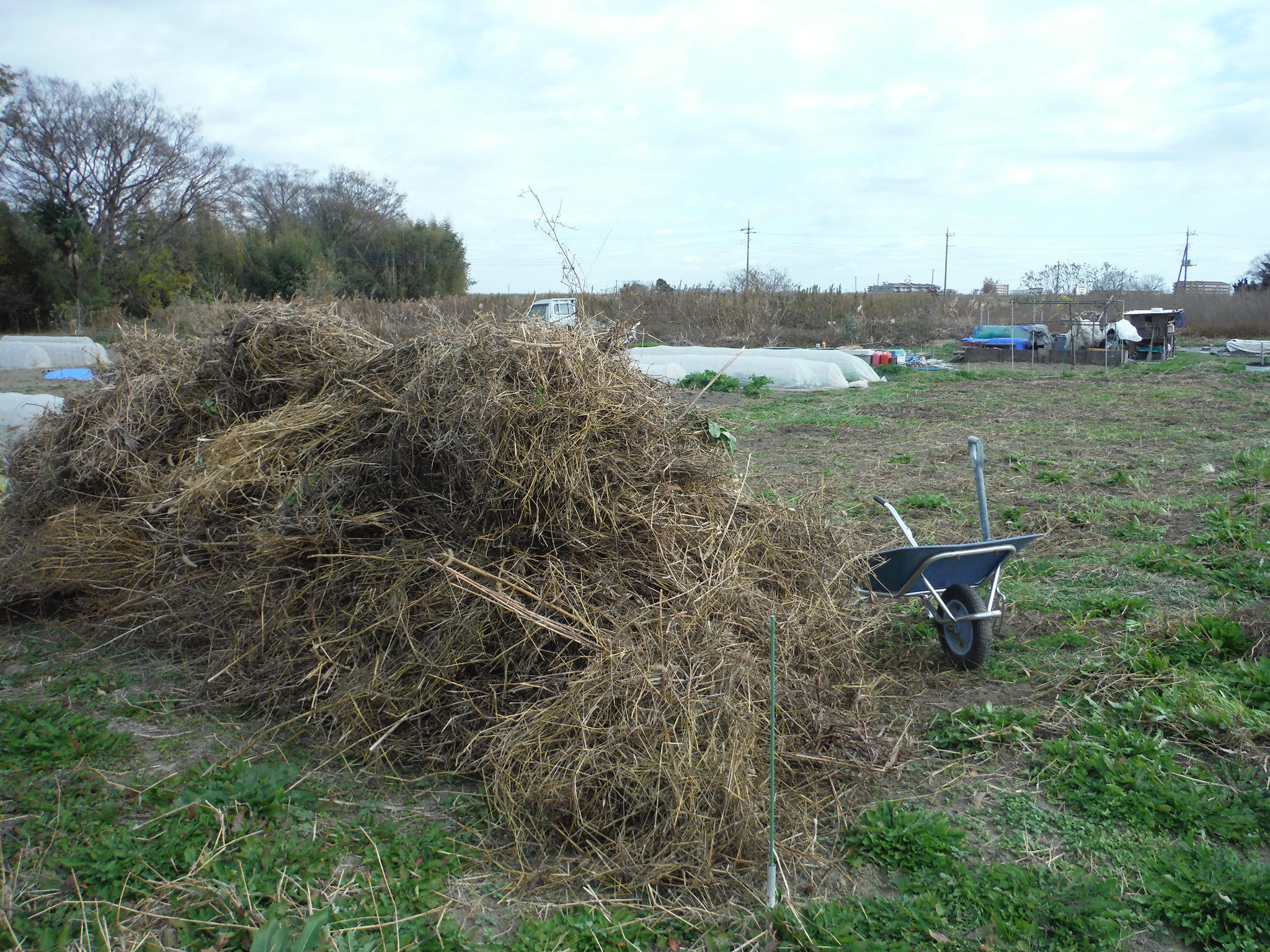 後片付け 刈り草の処理から開始 アラ古希夫婦の菜園生活 楽天ブログ