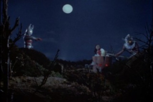PDVD_045.jpg