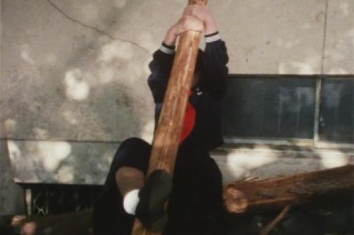 PDVD_010.jpg