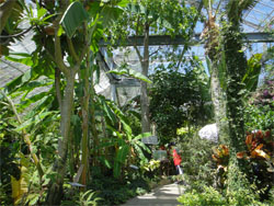 箱根30.jpg