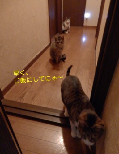 20151228_2.jpg