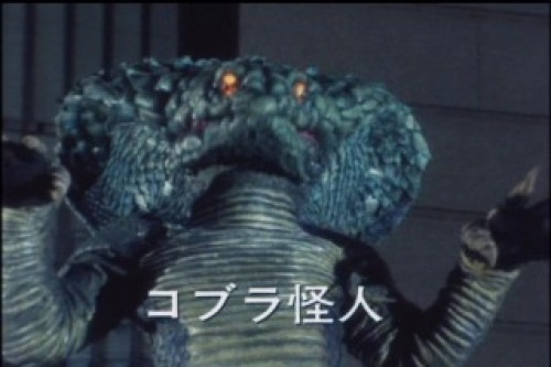 PDVD_029.jpg