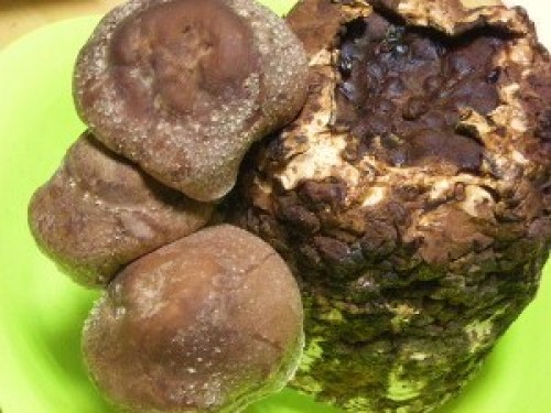 DSCN1610 (300x225).jpg