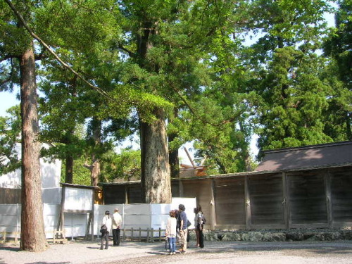 DSCN3547.JPG